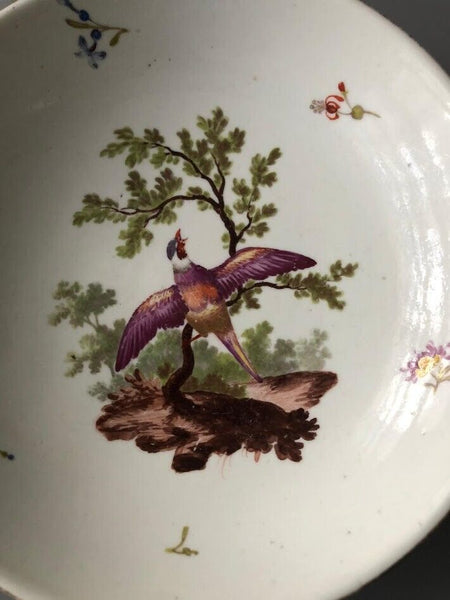Soucoupe Oiseaux de Paradis En Porcelaine Frankenthal 1775- 1780