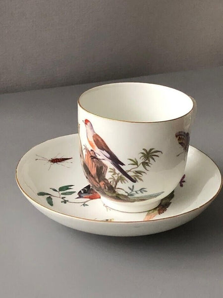 Meissen Ornithological Coffee Cup & Saucer 1740-1745 #3