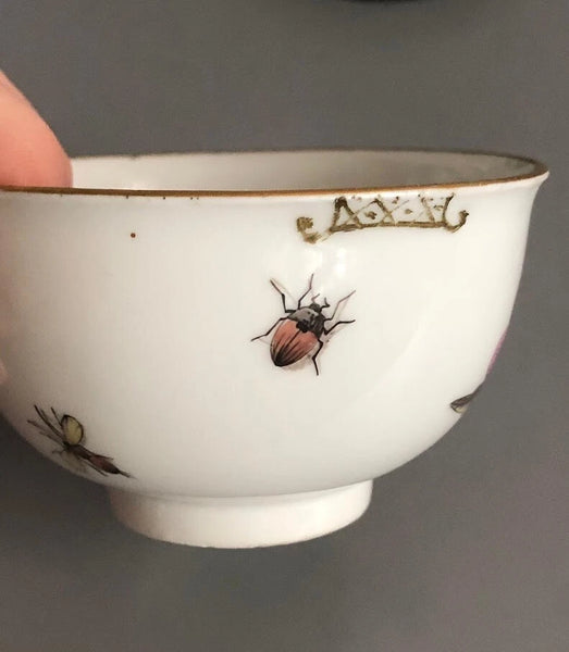 Meissen Porcelain Tea Cup & Saucer with Klinger Bugs #1 1740