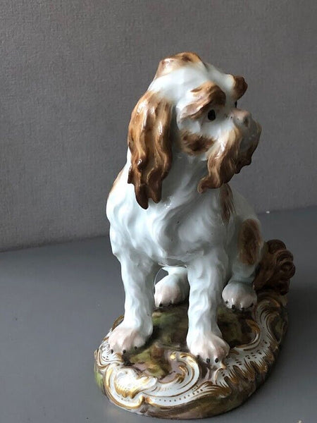 Meissen Porcelain Figure of a Bolognese Terrier, 19th century