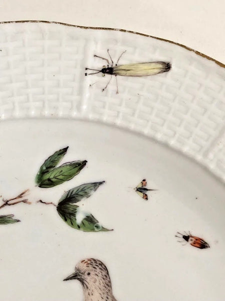 Meissen Porcelain Ornithological Plate, 1750