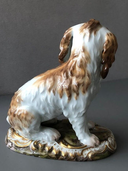 Meissen Porcelain Figure of a Bolognese Terrier, 19th century