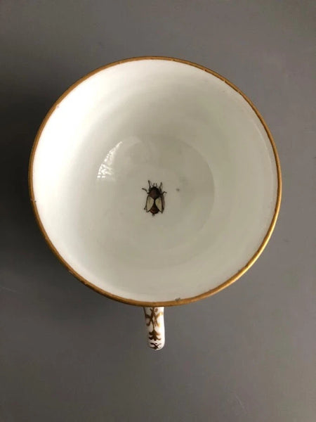 Meissen Porcelain Tea Cup & Saucer with Klinger Bugs #1 1740