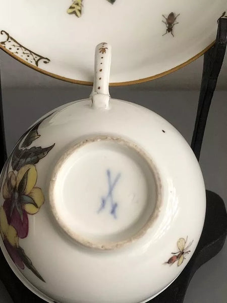 Meissen Porcelain Tea Cup & Saucer with Klinger Bugs #1 1740