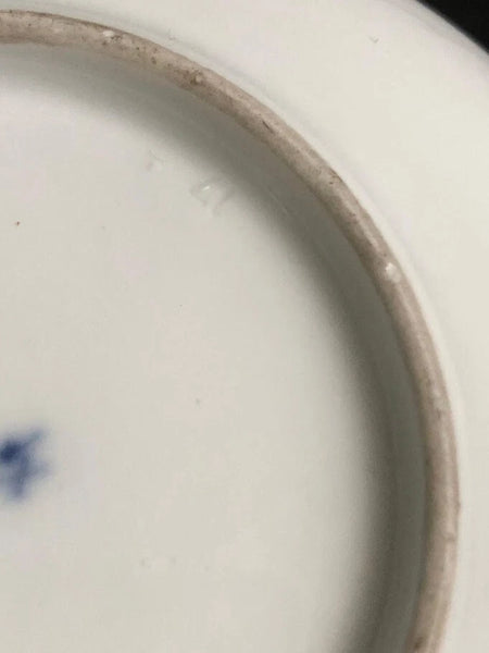 Meissen Porcelain Tea Cup & Saucer with Klinger Bugs #1 1740