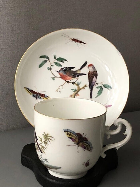 Meissen Ornithological Coffee Cup & Saucer 1740-1745 #3