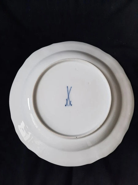 Meissen Porcelain Ornithological Plate with Bugs, 19th C # 2