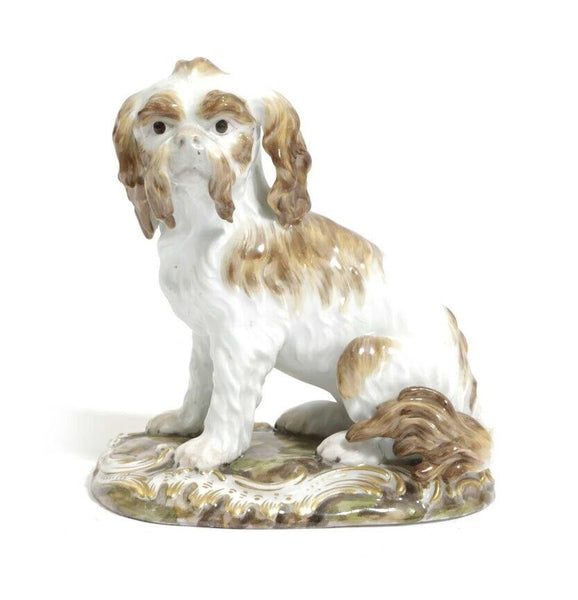 Meissen Porcelain Figure of a Bolognese Terrier, 19th century