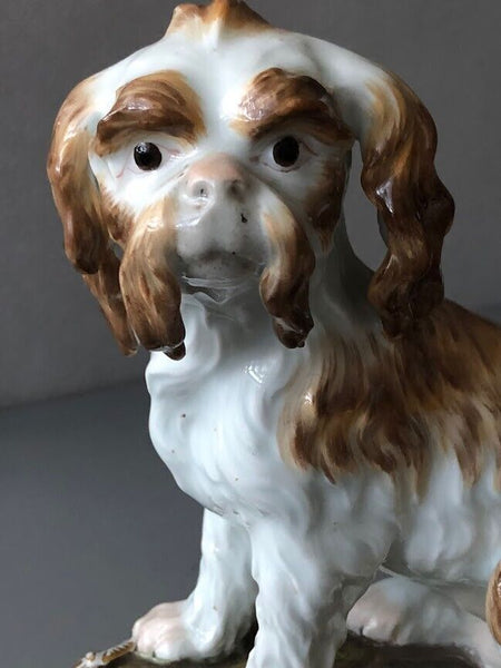 Meissen Porcelain Figure of a Bolognese Terrier, 19th century