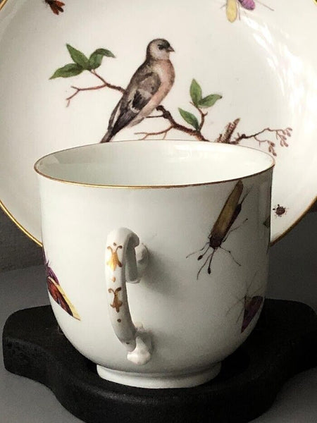 Meissen Porcelain Ornithological Coffee Cup & Saucer 1740-45 #2