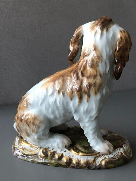 Meissen Porcelain Figure of a Bolognese Terrier, 19th century