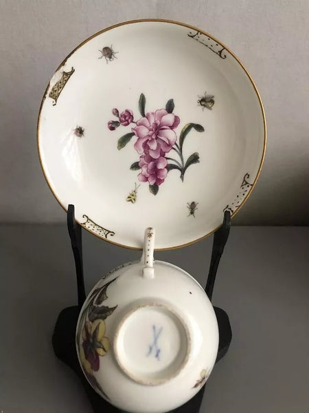 Meissen Porcelain Tea Cup & Saucer with Klinger Bugs #1 1740
