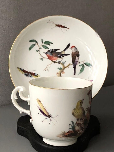 Meissen Ornithological Coffee Cup & Saucer 1740-1745 #3