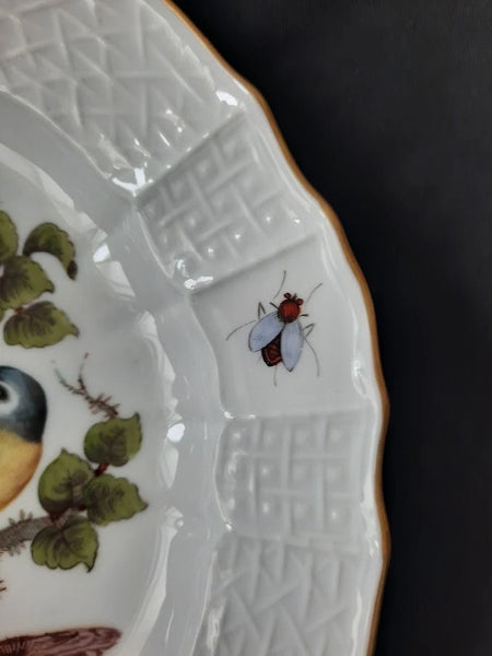 Meissen Porcelain Ornithological Plate with Bugs, 19th C # 2