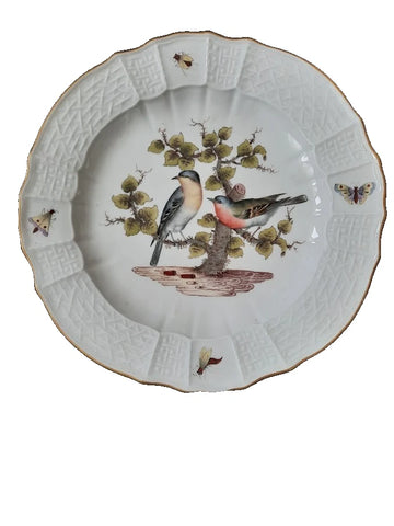 Meissen Porcelain Ornithological Plate with Bugs, 19th C # 1