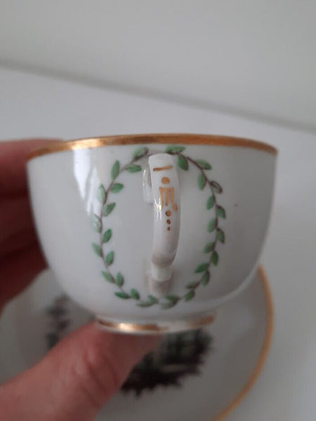 Doccia Porcelain Ornithological Tea Cup & Saucer, 1775