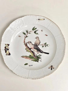 Meissen Porcelain Ornithological Plate, 1750