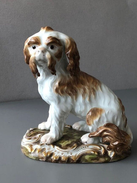 Meissen Porcelain Figure of a Bolognese Terrier, 19th century