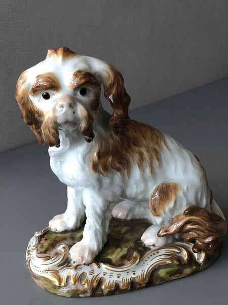 Meissen Porcelain Figure of a Bolognese Terrier, 19th century