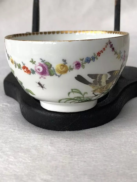 Meissen Porcelain Ornithological Tea Cup Circa 1750