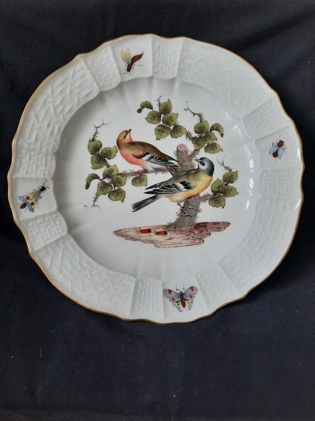 Meissen Porcelain Ornithological Plate with Bugs, 19th C # 2