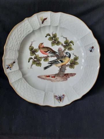 Meissen Porcelain Ornithological Plate with Bugs, 19th C # 2