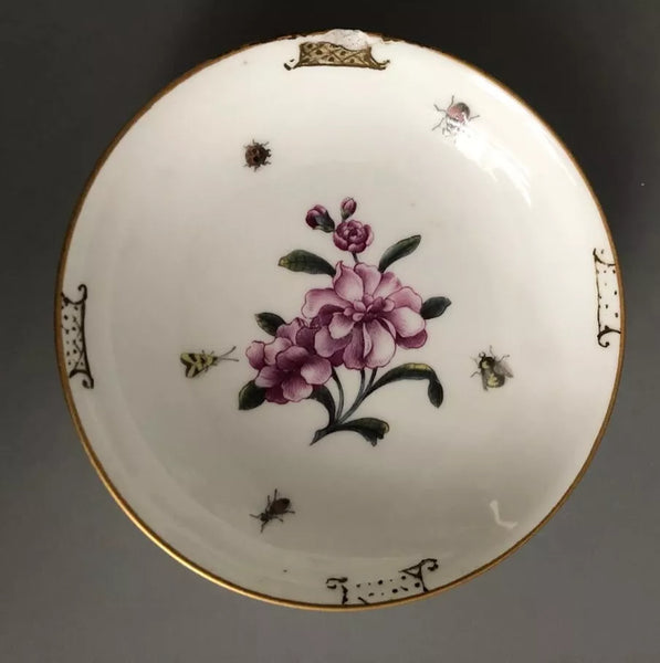 Meissen Porcelain Tea Cup & Saucer with Klinger Bugs #1 1740