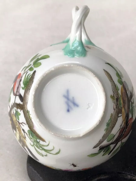 Meissen Porcelain Ornithological Tea Cup Circa 1750