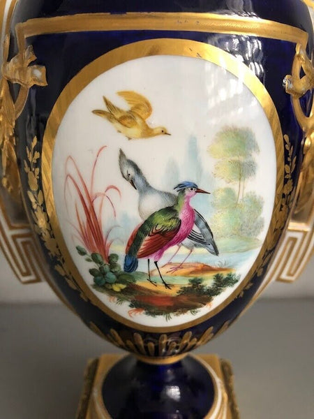 Sevres Porcelain "Vase a Panneaux" Ornithological & Floral Vases 1773-1780