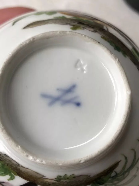 Meissen Porcelain Ornithological Tea Cup Circa 1750