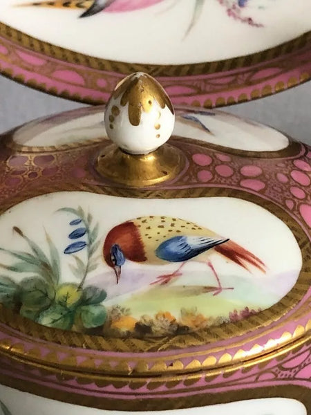 SEVRES STYLE PINK AND CAILLOUTE GROUND POT, COVER AND STAND.