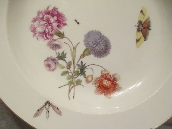 Assiette creuse en porcelaine de Meissen Insectes et fleurs 1740 (3) 