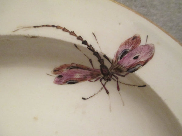 Meissen Porcelain  Soup Plate Bugs and Flowers 1740 (2)