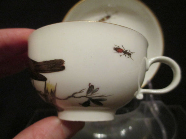 Meissener Ornithologische Tasse und Untertasse aus Porzellan, 1740 (1)