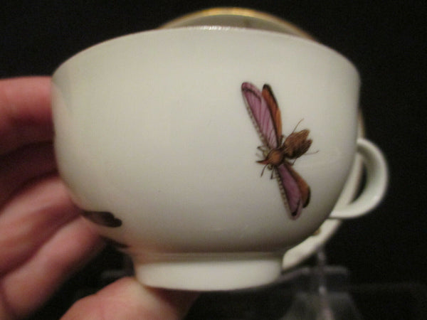 Meissen Porcelain Ornithological Cup & Saucer 1740   (3)