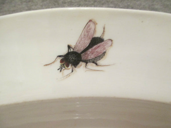 Meissen Große ovale Platte mit Schmetterling und Käfern um 1735 