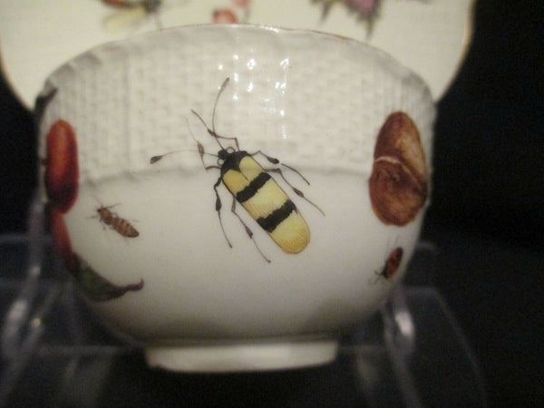 Bol à thé et soucoupe Fruits &amp; Bugs en porcelaine de Meissen 1740