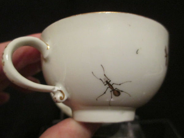 Tasse &amp; Soucoupe Ornithologique En Porcelaine De Meissen 1740 (3)