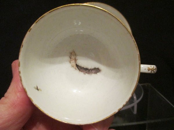 Meissener Ornithologische Tasse und Untertasse aus Porzellan, 1740 (2)