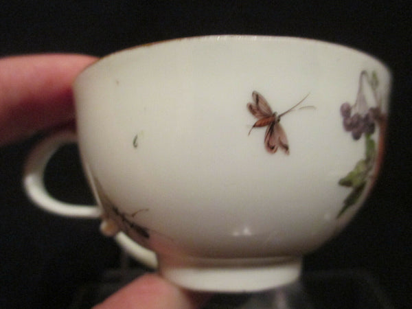 Meissen Porcelain Ornithological Cup & Saucer 1740   (3)