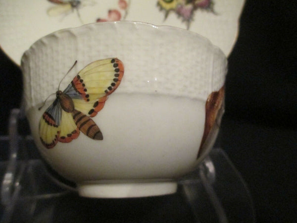 Bol à thé et soucoupe Fruits &amp; Bugs en porcelaine de Meissen 1740