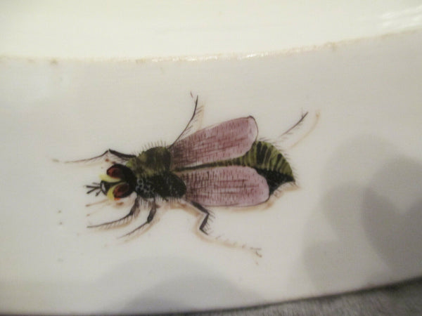 Meissen Grand Plat Ovale Aux Papillons Et Insectes Circa 1735 