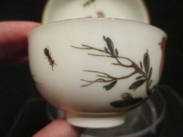 Meissen Porcelain Ornithological Cup & Saucer 1740   (1)