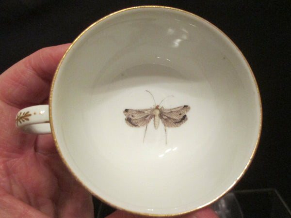 Meissener Ornithologische Tasse und Untertasse aus Porzellan, 1740 (3)