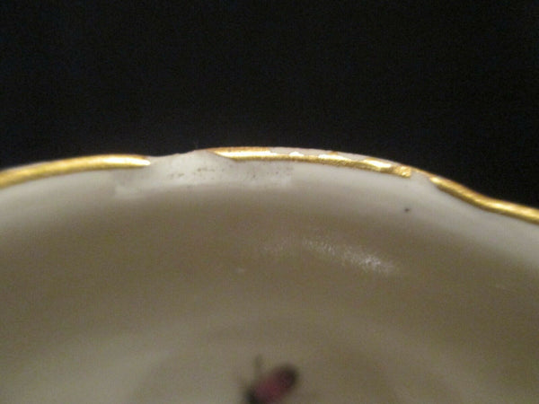 Meissen Porcelain Fruit & Bugs Tea Bowl & Saucer 1740