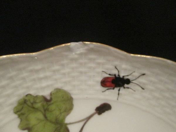 Meissen Porcelain Fruit & Bugs Tea Bowl & Saucer 1740