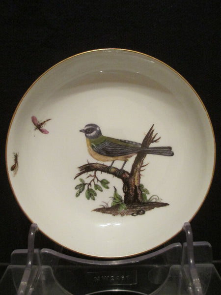 Meissen Porcelain Ornithological Cup & Saucer 1740   (2)