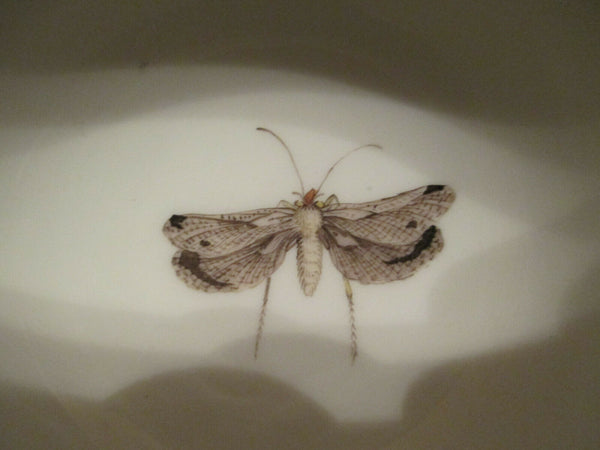 Meissen Porcelain Ornithological Cup & Saucer 1740   (3)