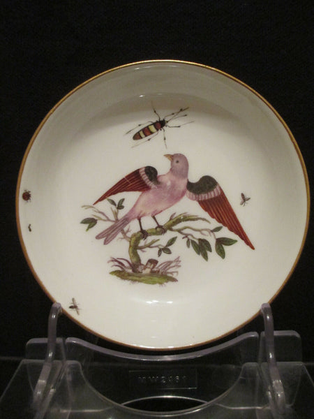 Meissen Porcelain Ornithological Cup & Saucer 1740   (1)