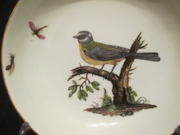 Meissener Ornithologische Tasse und Untertasse aus Porzellan, 1740 (2)